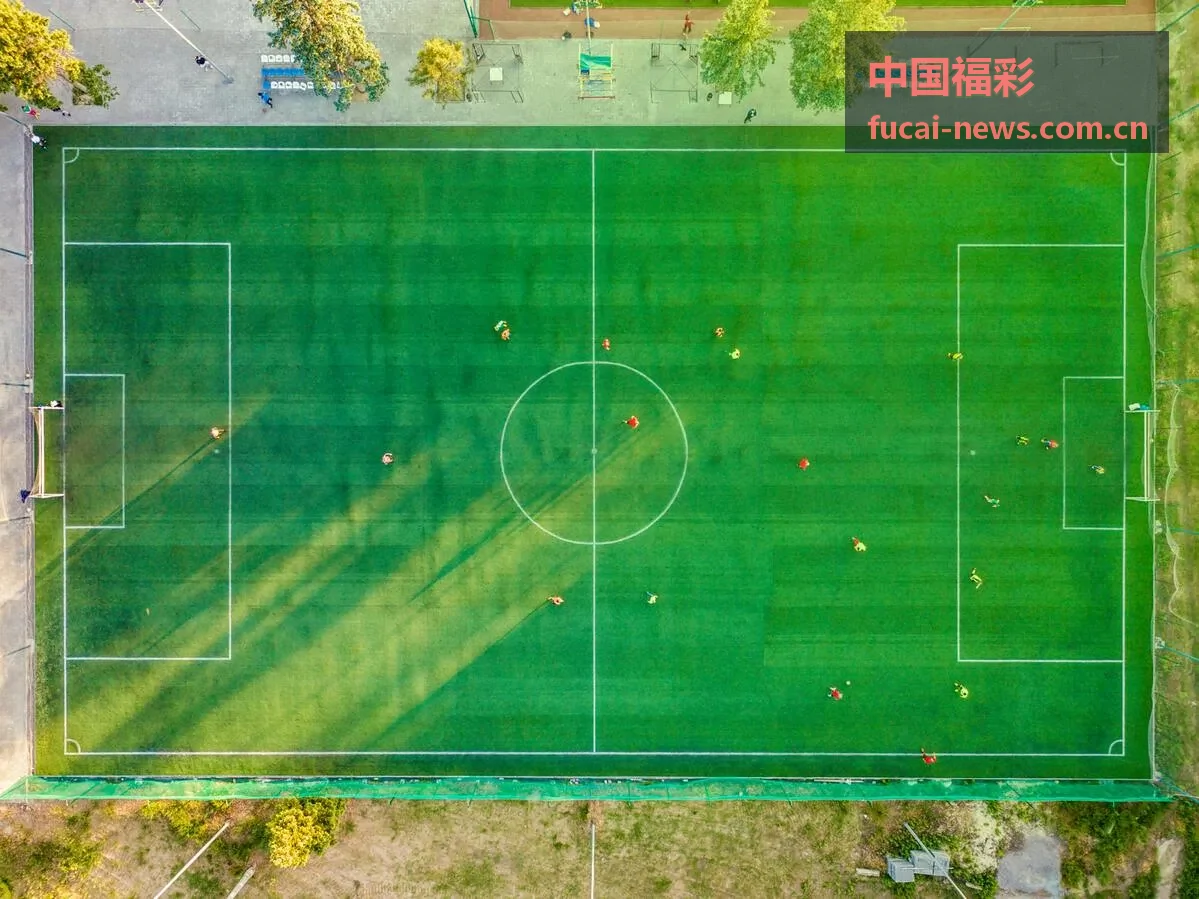 中国福彩快乐8玩法选号界面展示
